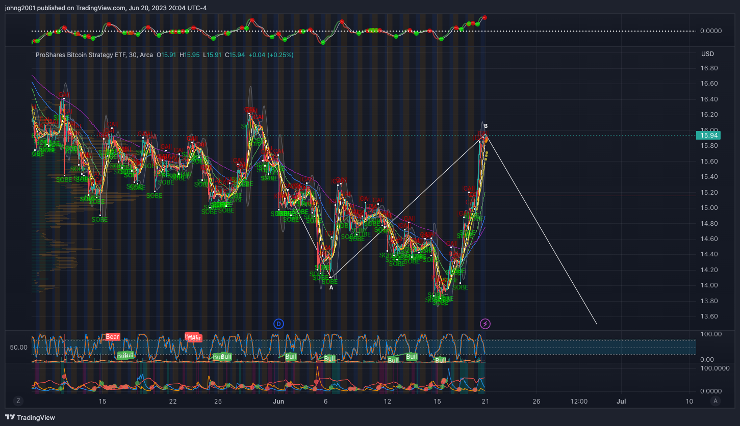 AMEX:BITO Chart Image by johng2001