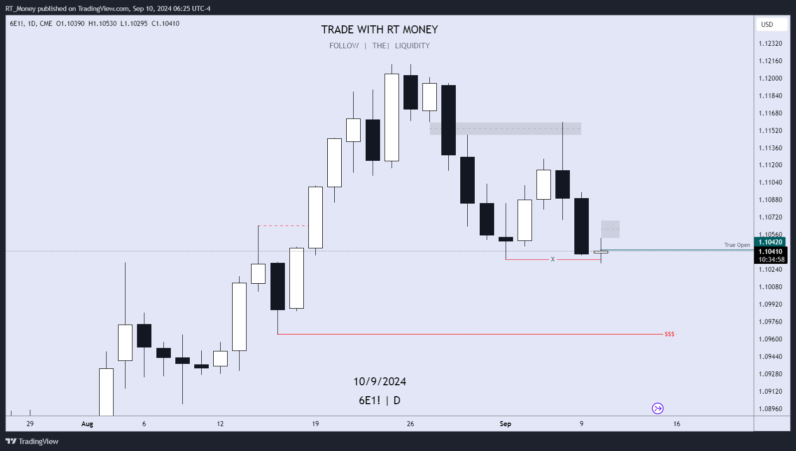CME:6E1! Chart Image by RT_Money