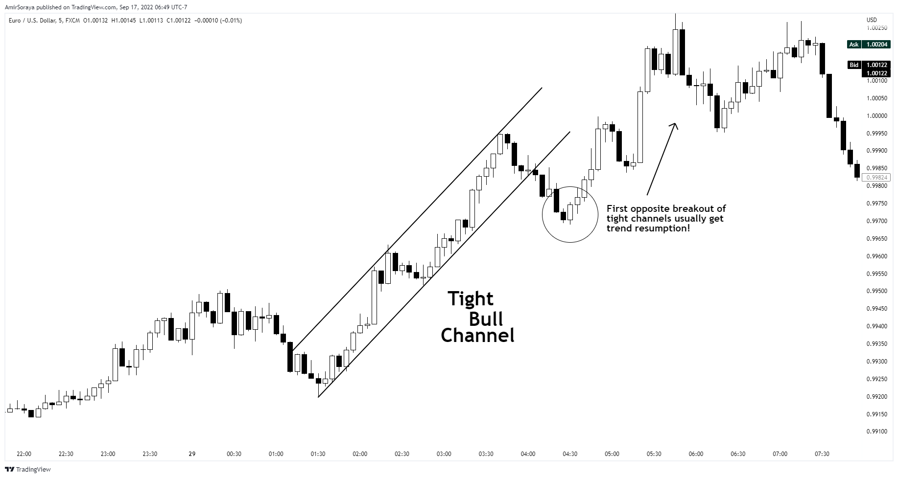 FX:EURUSD Chart Image by AmirSoraya