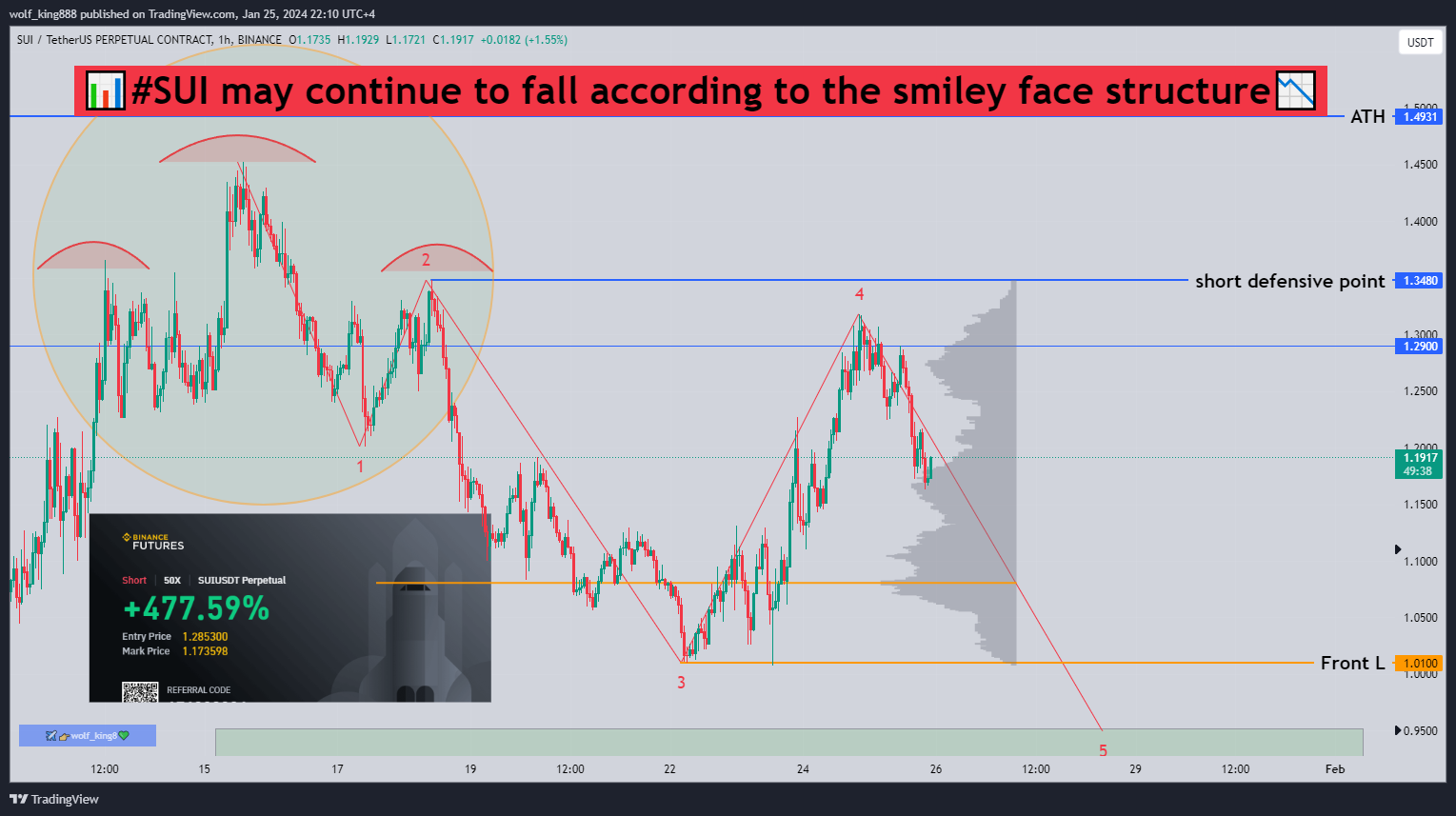 BINANCE:SUIUSDT.P Chart Image by wolf_king888