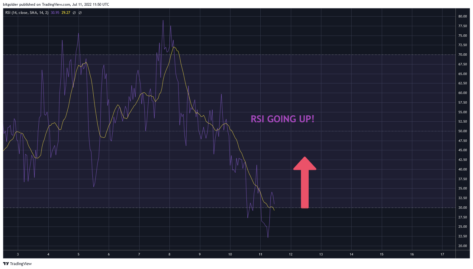 BITSTAMP:BTCUSD Chart Image by Bitgolder