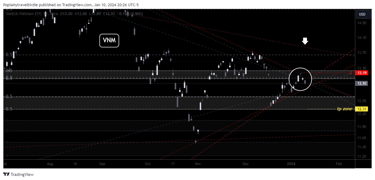 BATS:VNM Chart Image by PopiaMytravelbirdie