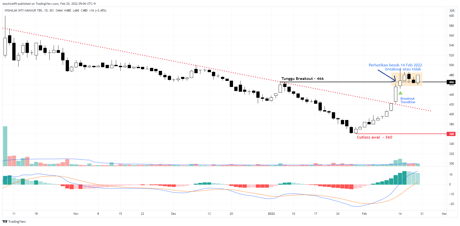 IDX:WIIM Chart Image by stockina99