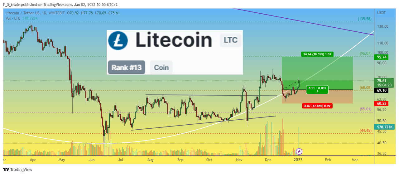WHITEBIT:LTCUSDT Chart Image by P_S_trade