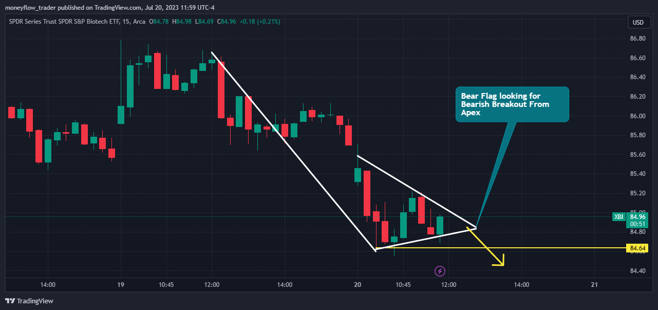 AMEX:XBI Chart Image by moneyflow_trader