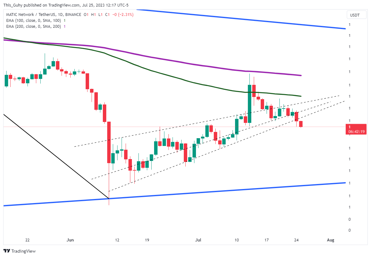 BINANCE:MATICUSDT Chart Image by This_Guhy