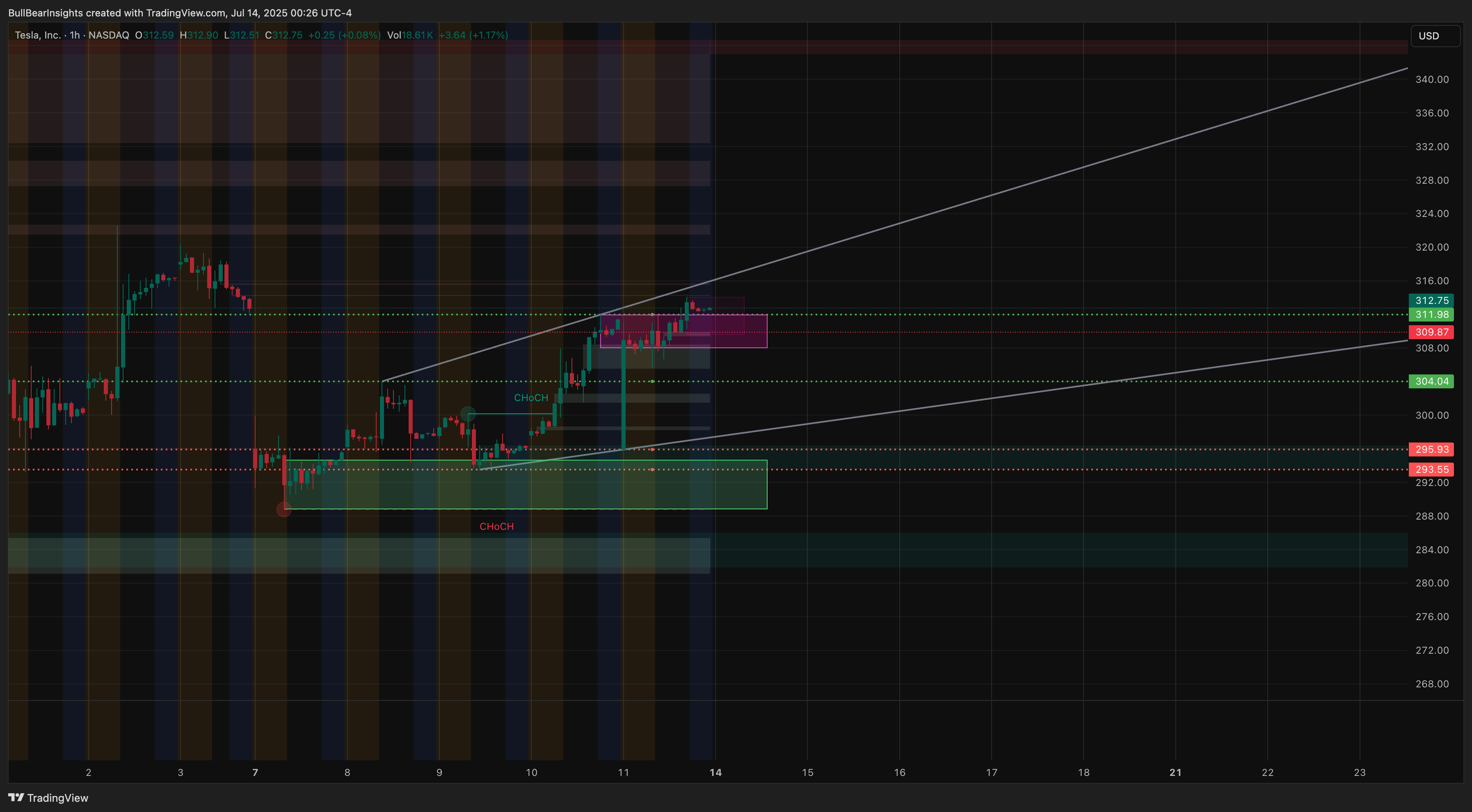 BATS:TSLA Chart Image by BullBearInsights