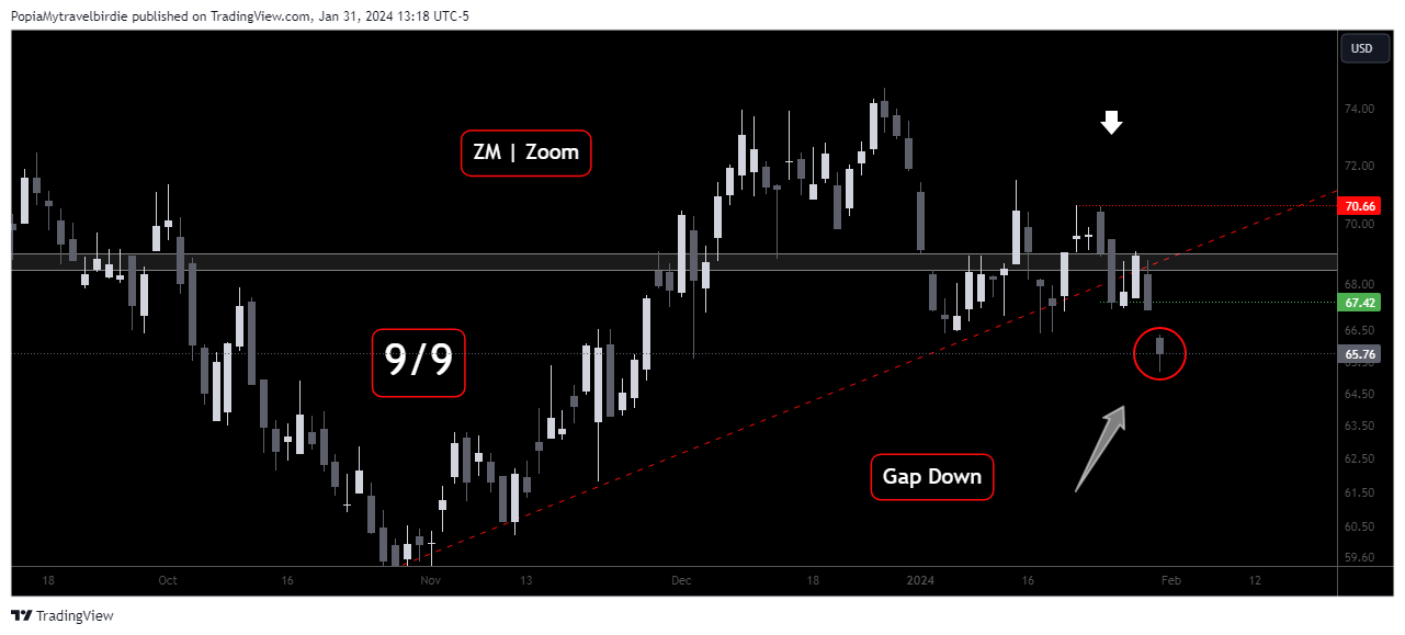 BATS:ZM Chart Image by PopiaMytravelbirdie