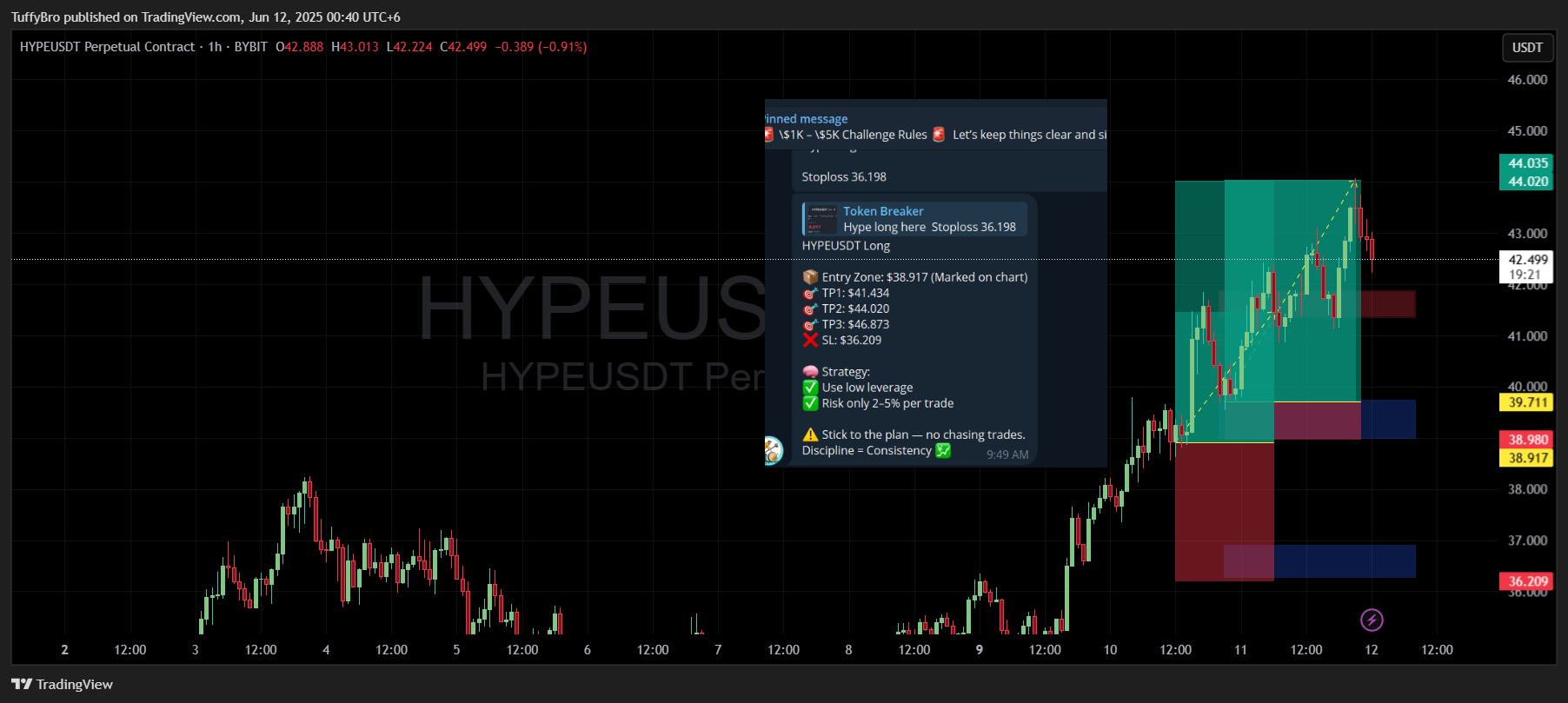 BYBIT:HYPEUSDT.P Chart Image by TuffyBro