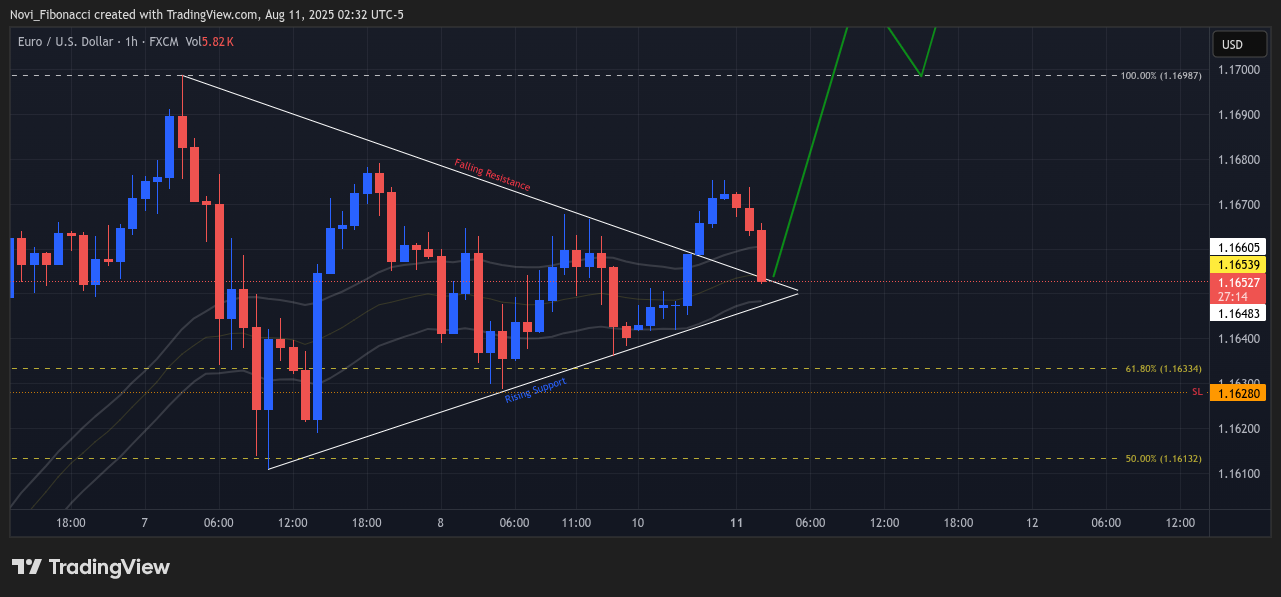 FX:EURUSD Chart Image by Novi_Fibonacci