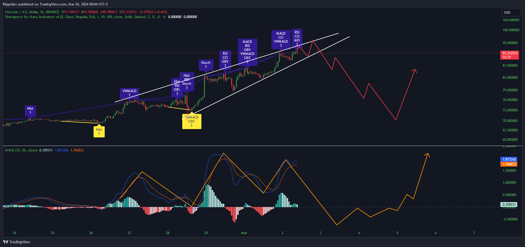 BINANCE:LTCUSD Chart Image by Bitgolder