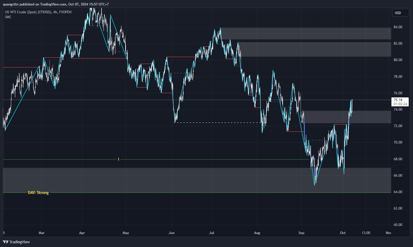 FXOPEN:XTIUSD Chart Image by quangcttn