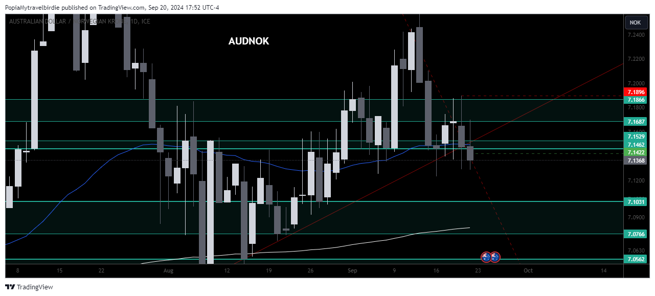 FX_IDC:AUDNOK Chart Image by PopiaMytravelbirdie