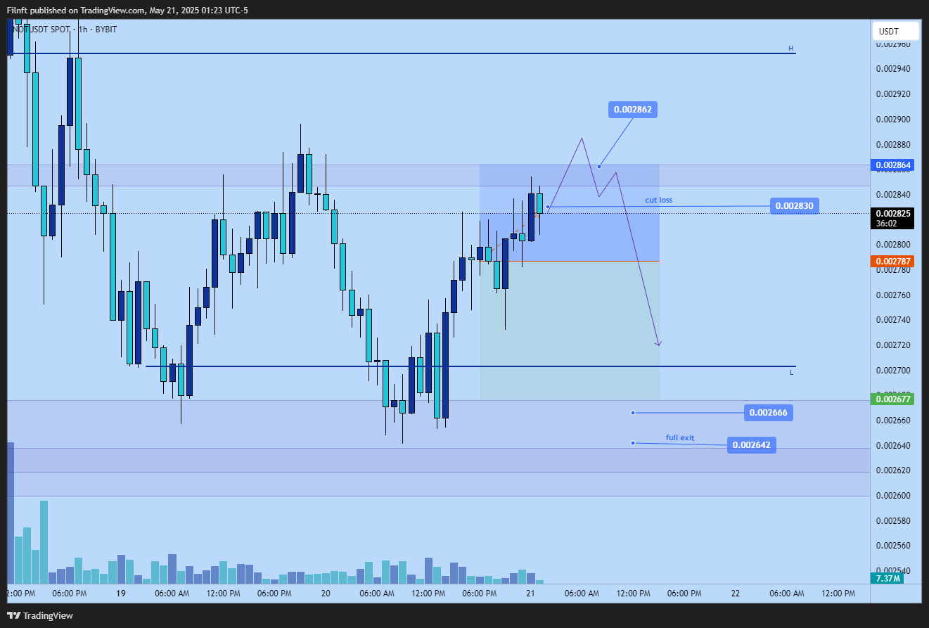 BYBIT:NOTUSDT Chart Image by Filnft