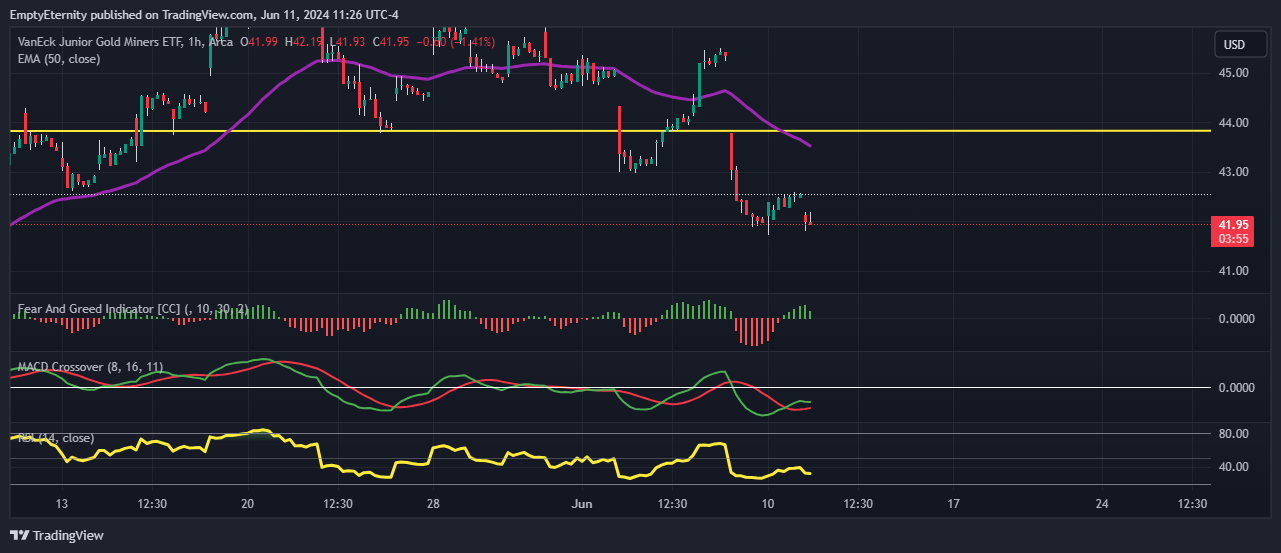 BATS:GDXJ Chart Image by EmptyEternity
