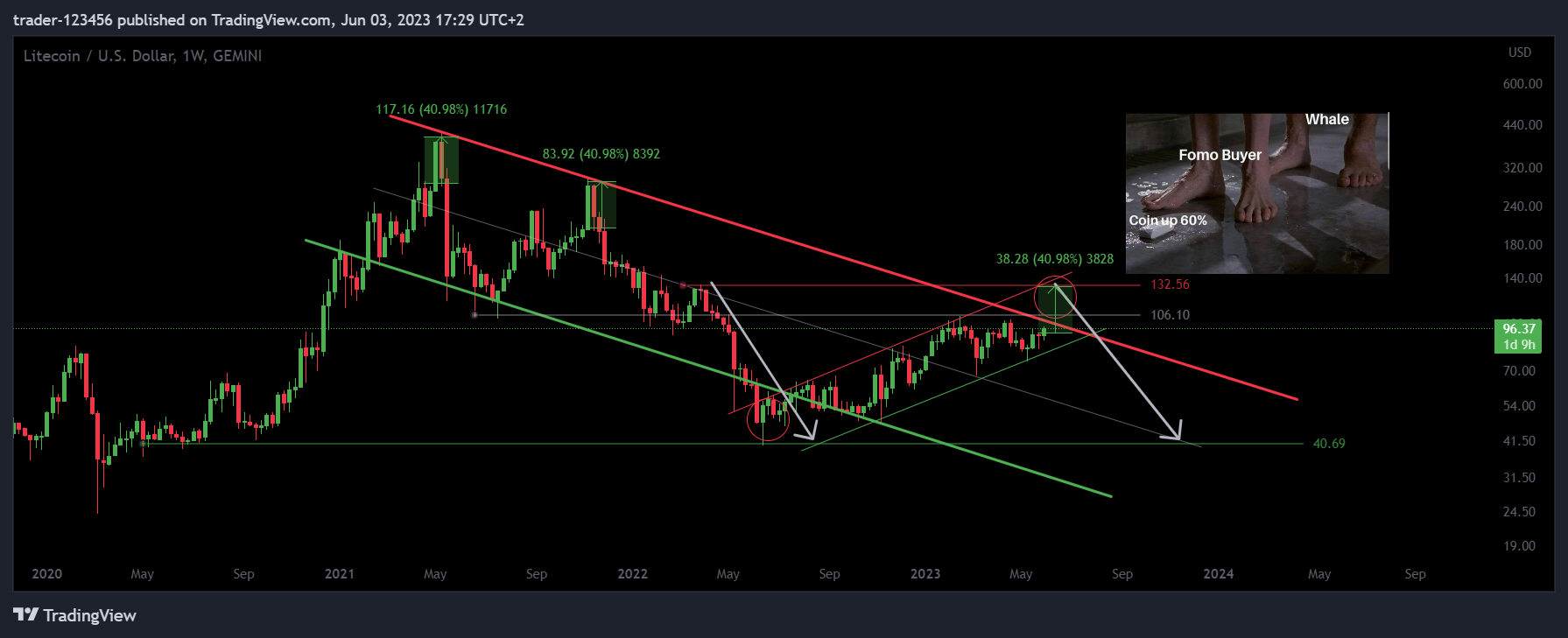 GEMINI:LTCUSD Chart Image by trader-123456