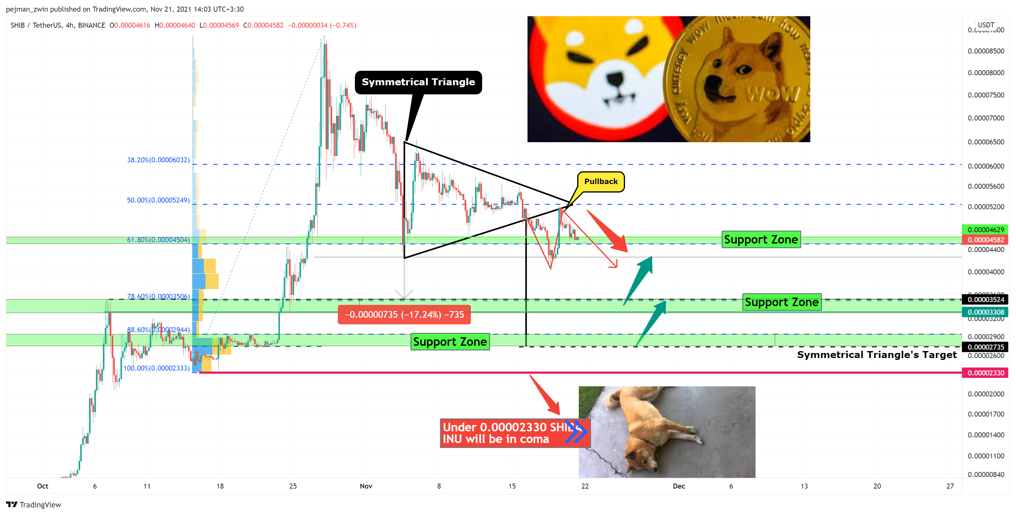 BINANCE:SHIBUSDT Chart Image by pejman_zwin