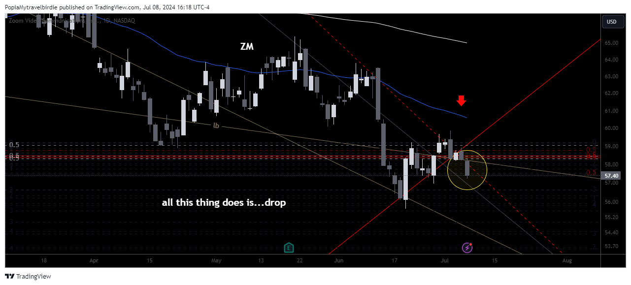 BATS:ZM Chart Image by PopiaMytravelbirdie