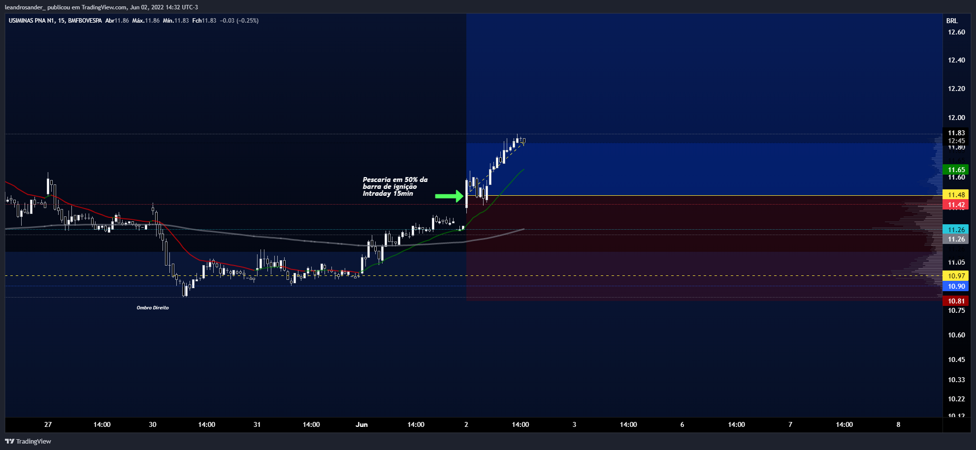 BMFBOVESPA:USIM5 Chart Image by leandrosander_