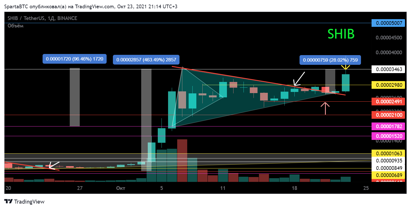 BINANCE:SHIBUSDT Chart Image by SpartaBTC
