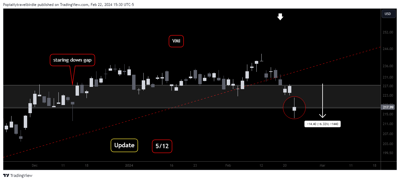 BATS:VMI Chart Image by PopiaMytravelbirdie