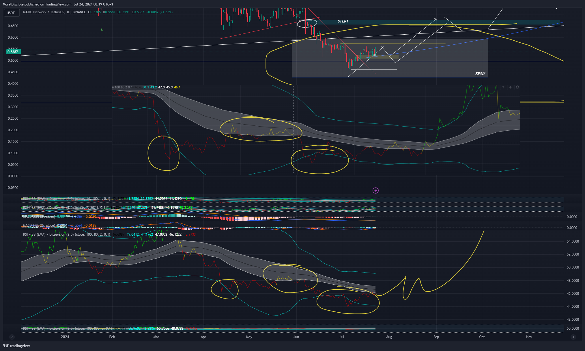 BINANCE:MATICUSDT Chart Image by MoralDisciple