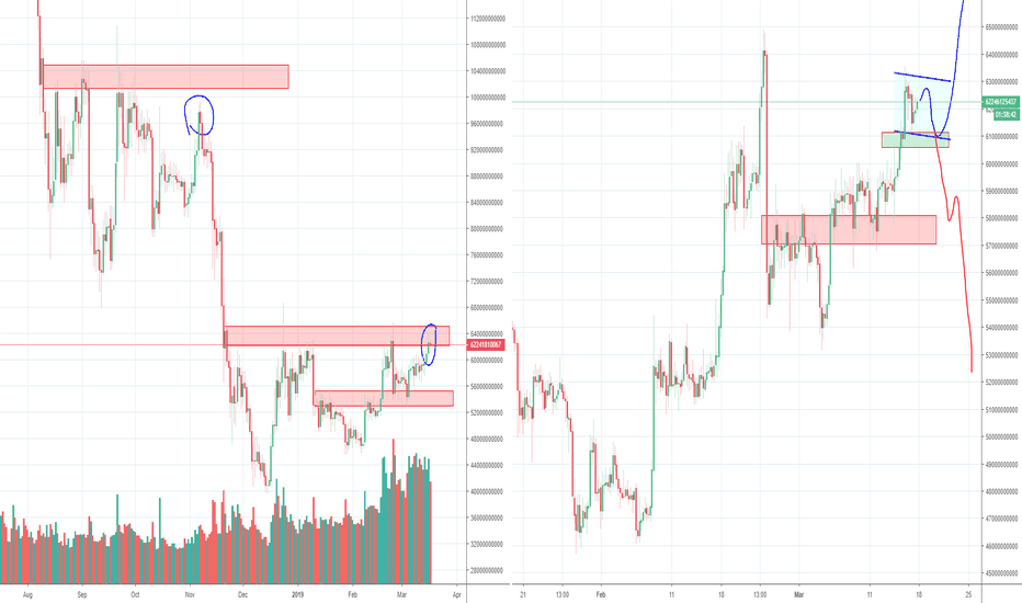 Alt market more Bullish than Bitcoin