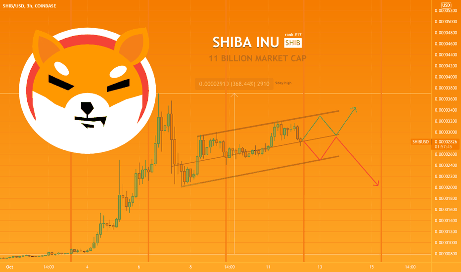 SHIBA INU coins spectacular 9 day run.