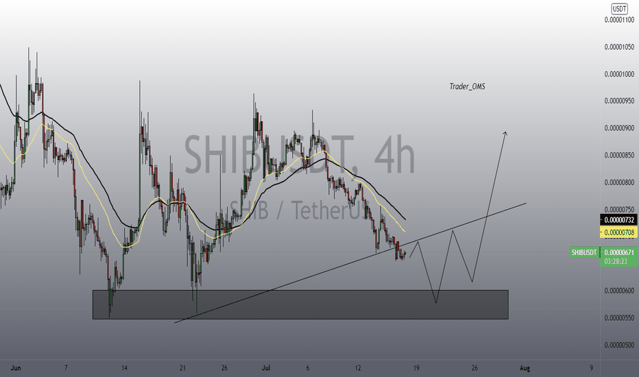 SHIBA shit coin