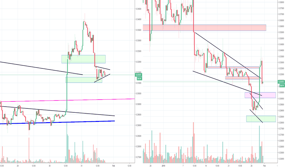 Ripple XRP Fake rally? 