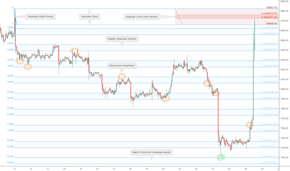 "Pulse" of an asset times Fibonacci: BTC sprang to Impulse Redux