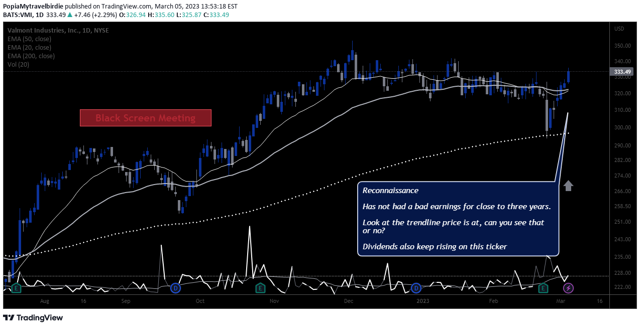 NYSE:VMI Idea Chart Image by PopiaMytravelbirdie