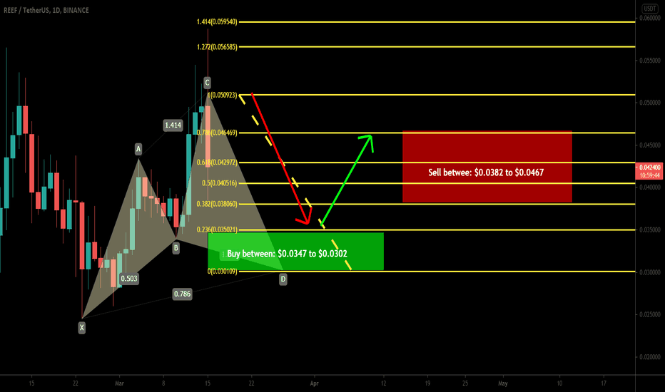 Reef token completing Cypher pattern for upto 54.5% move