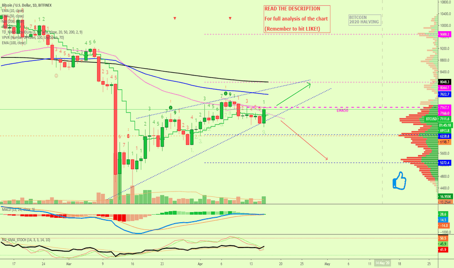 Not So Fast Bitcoin, What Happens Now? (2020 BTC Halving)
