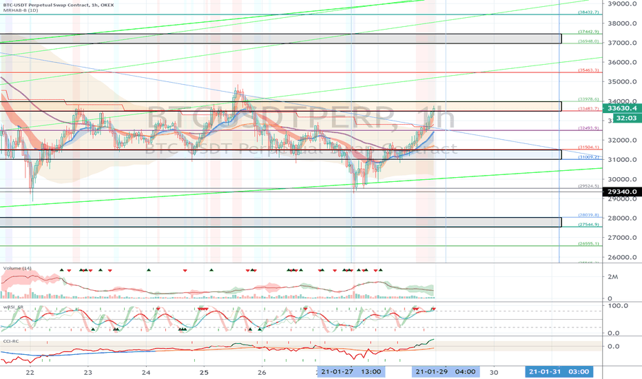 OKEX BTCUSDTPERP (Short Term Strategy) - January 29