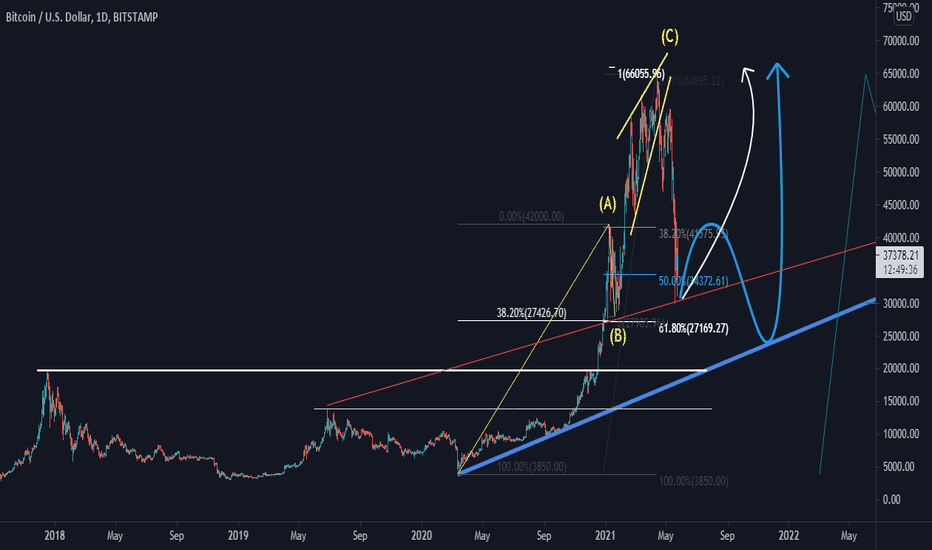 Bitcoin vs Fed QE