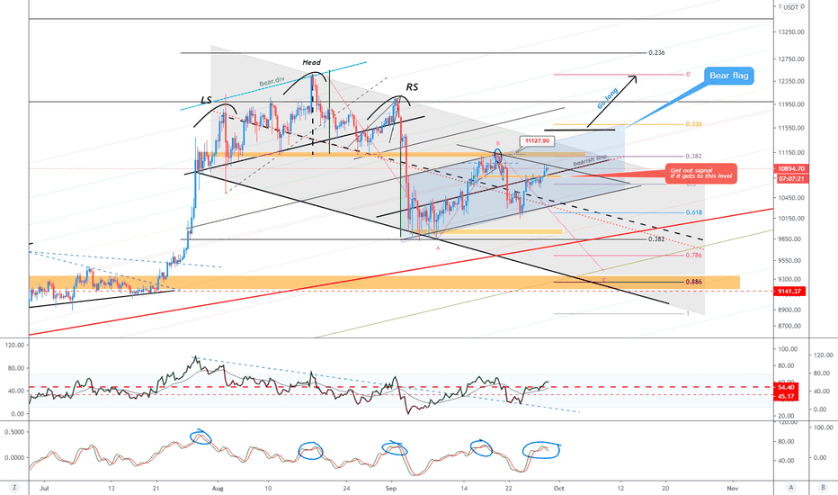 BTC (Y20.P4.E8).Planning the steps and observing