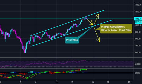 BITCOIN UPDATE FEB 17