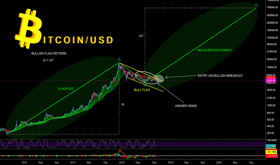 EVER WONDERED IF BITCOIN IS IN MAJOR BULL FLAG - CryptoManiac101