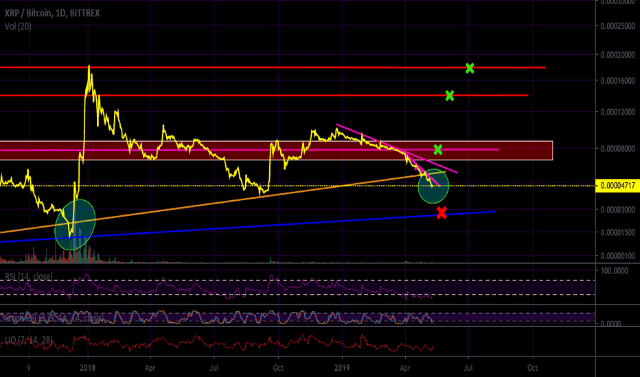 Will XRP Do What It Did Last Time?