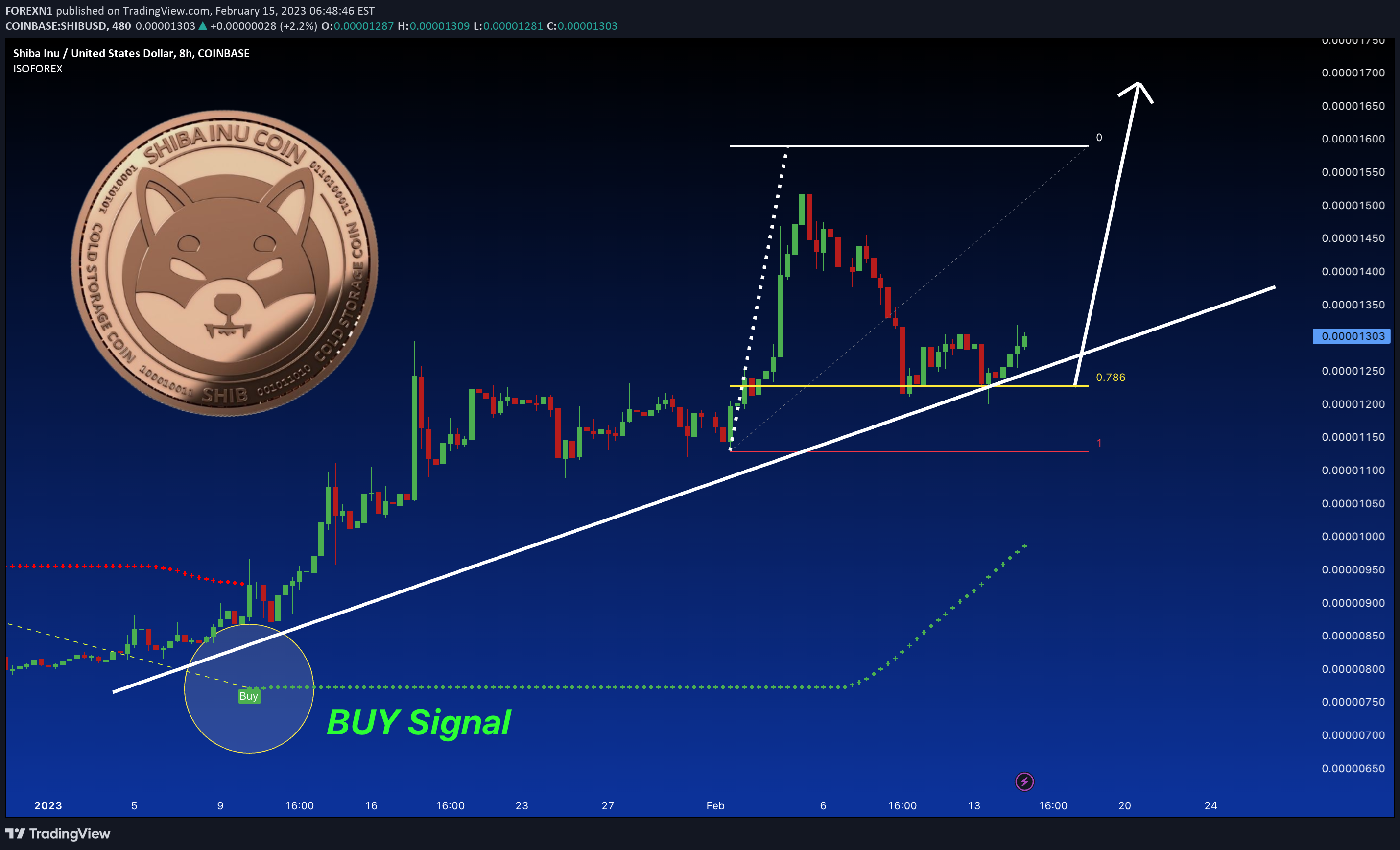 COINBASE:SHIBUSD Idea Chart Image by FOREXN1