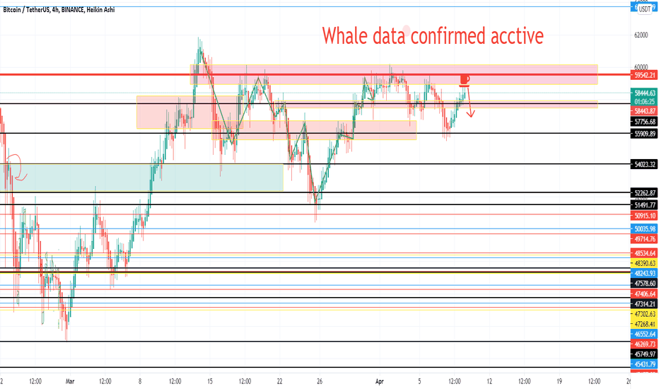 WHALE DATA CONFIRMED SHORT WHALES ACCTIVE INTO TREND - MD200 HIT