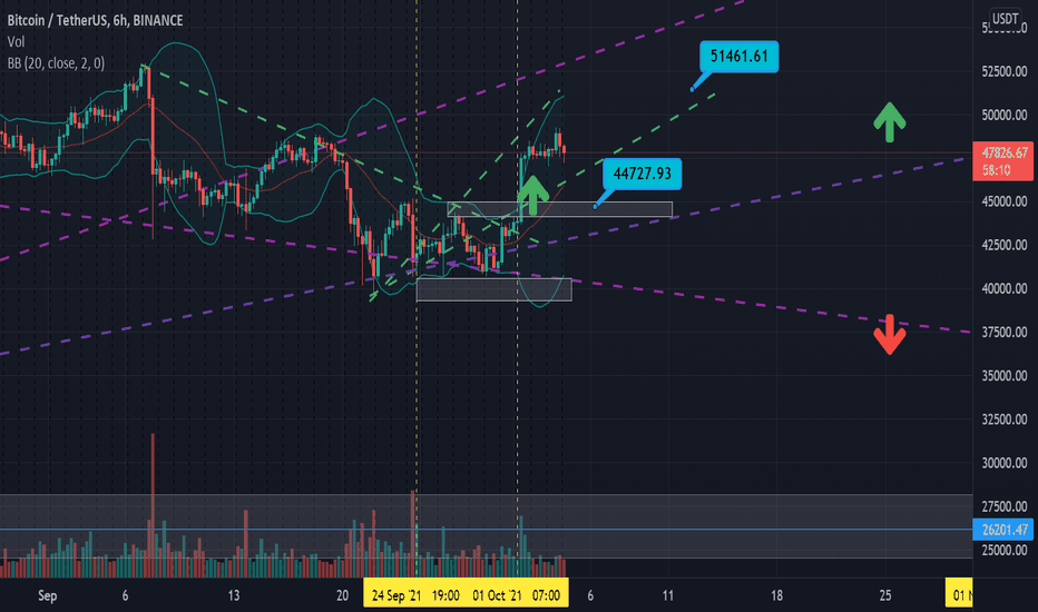 Crypto market 4/10: Bitcoin's return is a sign of growth for Oct