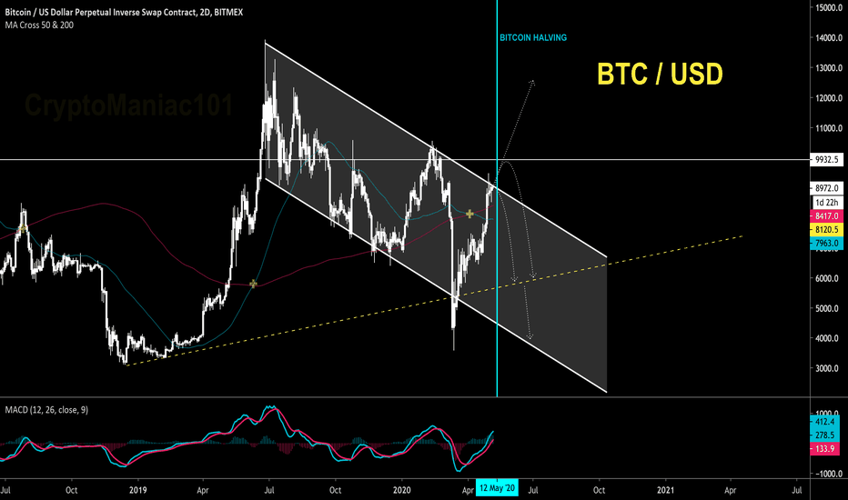 BITCOIN HALVING APPROACHES, SO DO YOU LONG OR SHORT?