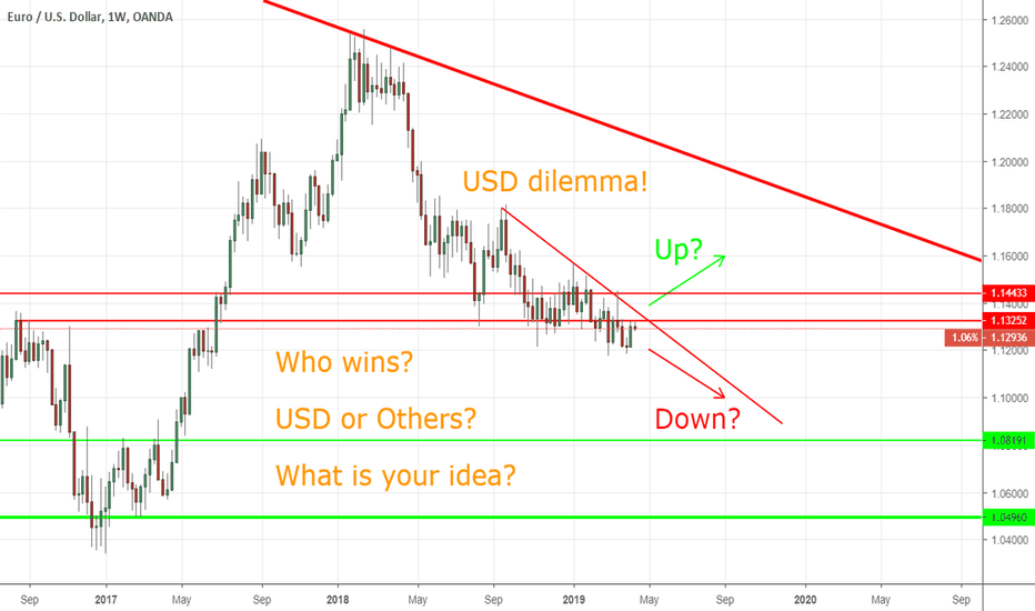 USD dilemma:   Up or Down?          What is your idea?