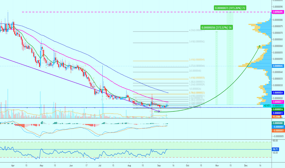 [KEYBTC](193%) Selfkey Trade Signal @alanmasters