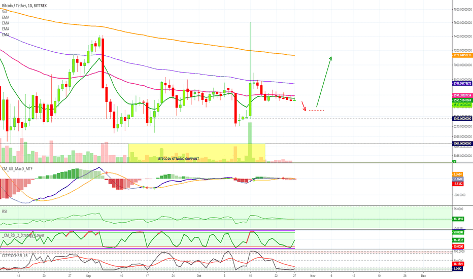 (300%+) Altcoins Market Continues To Heat Up: Bear Market Over