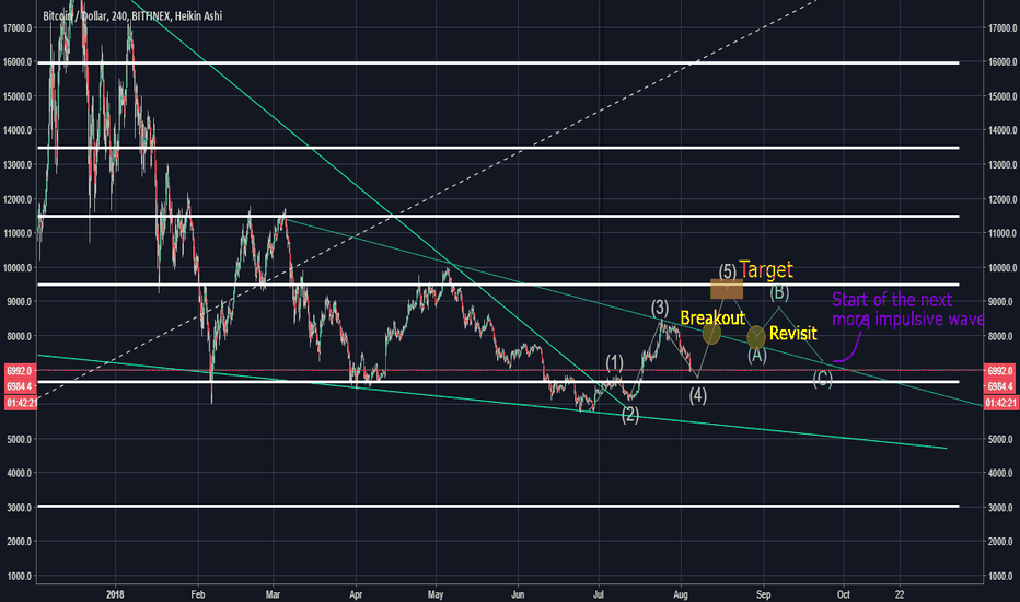 Bitcoin full 1. wave 