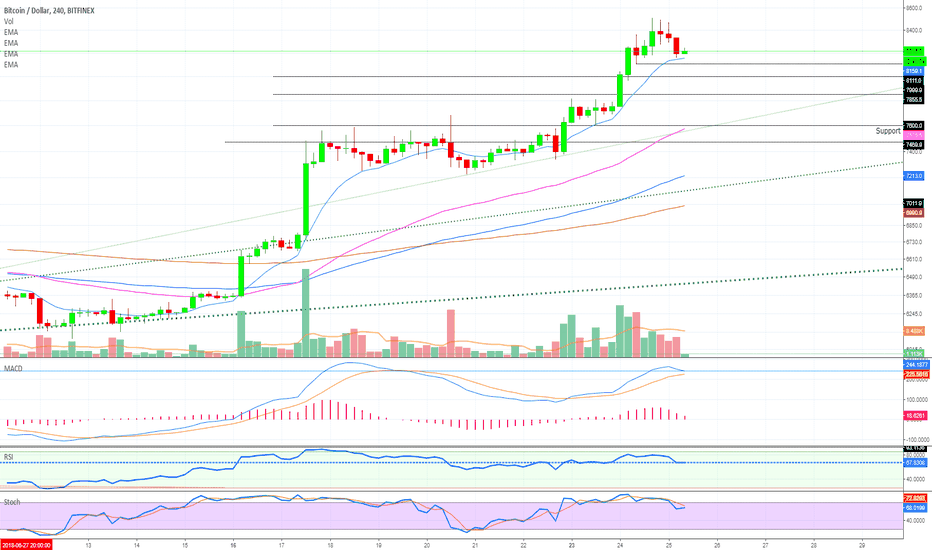 Bitcoin Support Levels: When The Next Jump? #3 Scenarios