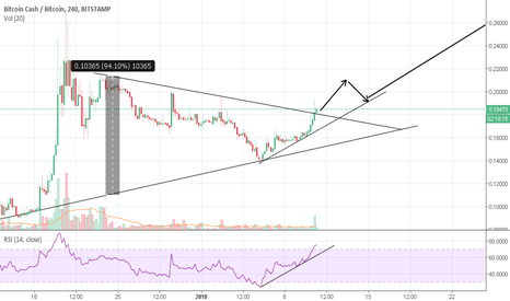 Bitcoin cash gonna moon again?
